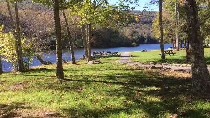 Little Pond Campground - Andes, NY