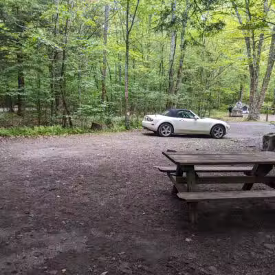 Little Pond Campground - Andes, NY