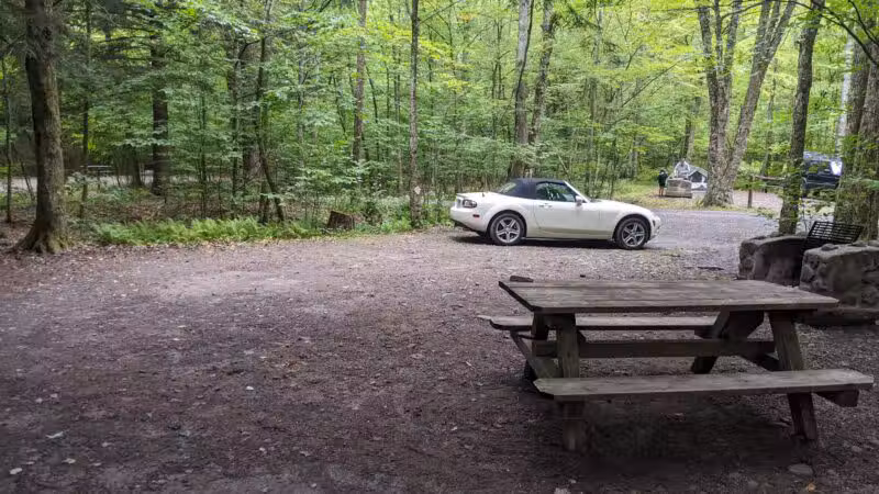 Little Pond Campground - Andes, NY
