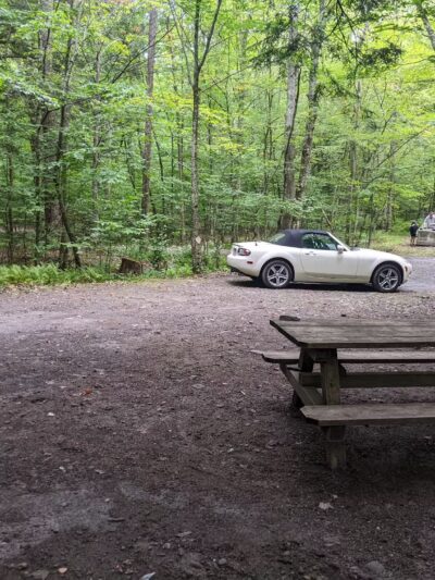 Little Pond Campground - Andes, NY
