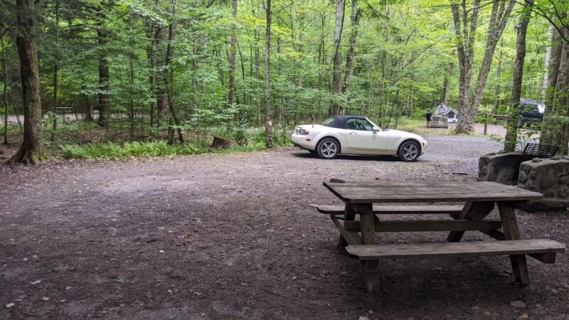 Little Pond Campground - Andes, NY
