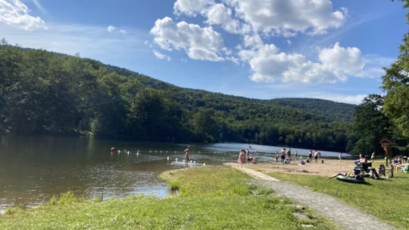 Little Pond Campground - Andes, NY