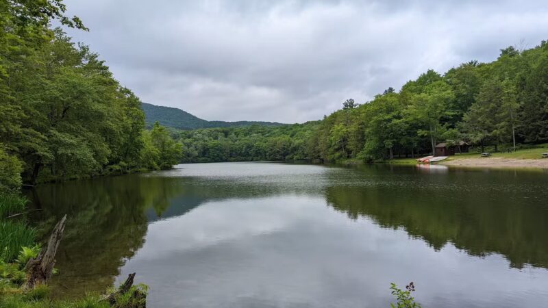 Little Pond Campground - Andes, NY