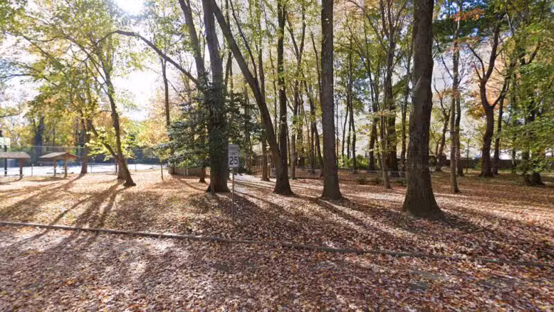 Private Dog Park - Annapolis, MD