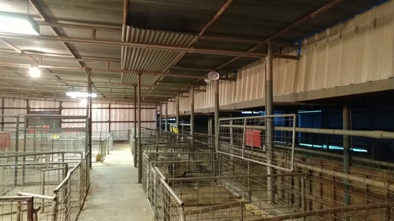 Burkett Park - Archer City, TX