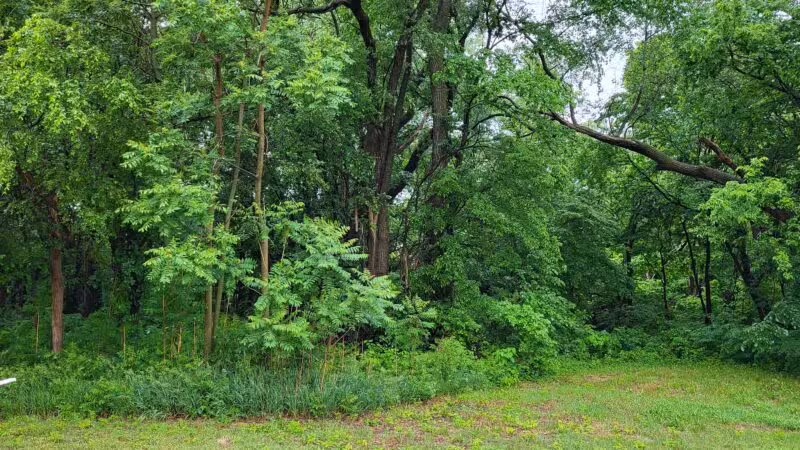 Arlington City Park - Arlington, KS