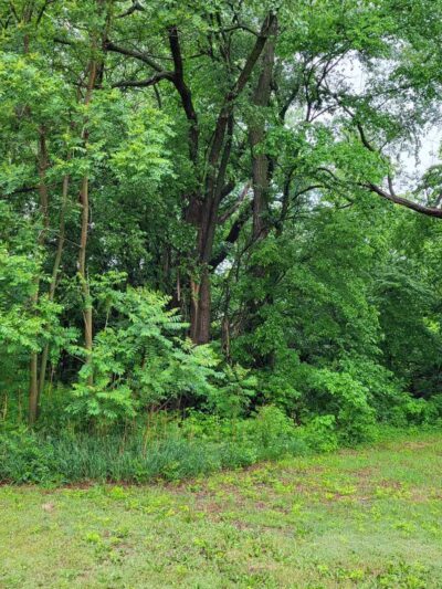 Arlington City Park - Arlington, KS