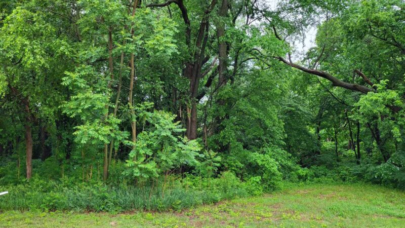 Arlington City Park - Arlington, KS