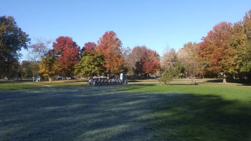 Thorndike Field Park - Arlington, MA