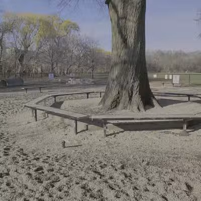 Thorndike Field Park - Arlington, MA