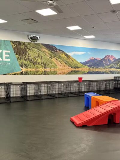 Dogtopia of Arlington by The Parks - Arlington, TX