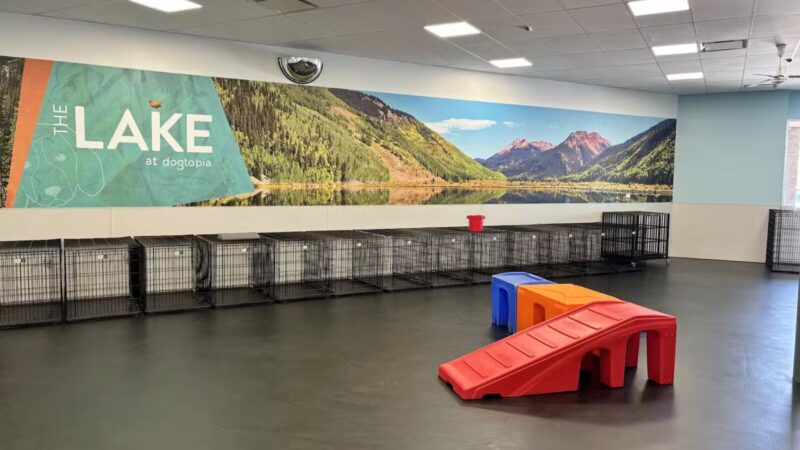 Dogtopia of Arlington by The Parks - Arlington, TX