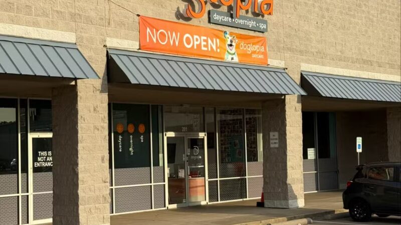 Dogtopia of Arlington by The Parks - Arlington, TX