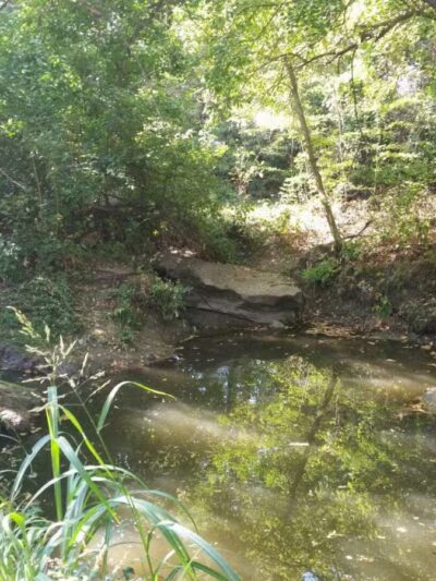 Marrow Bone Spring Park - Arlington, TX