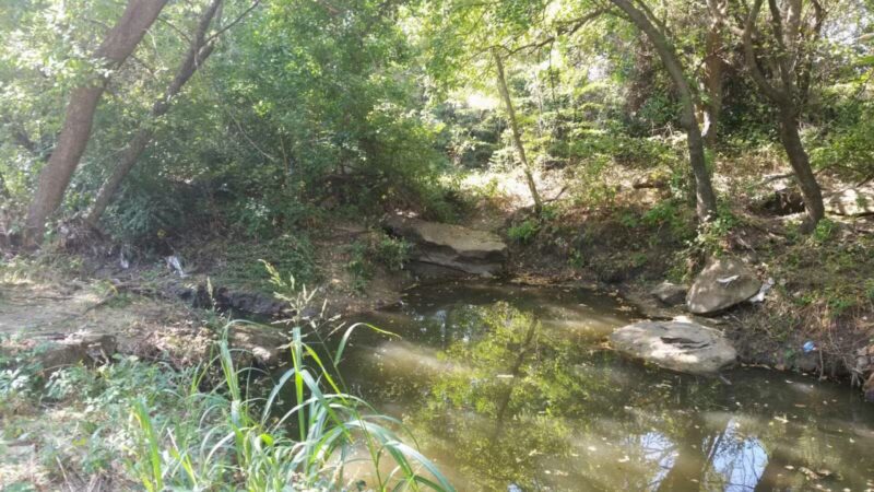 Marrow Bone Spring Park - Arlington, TX
