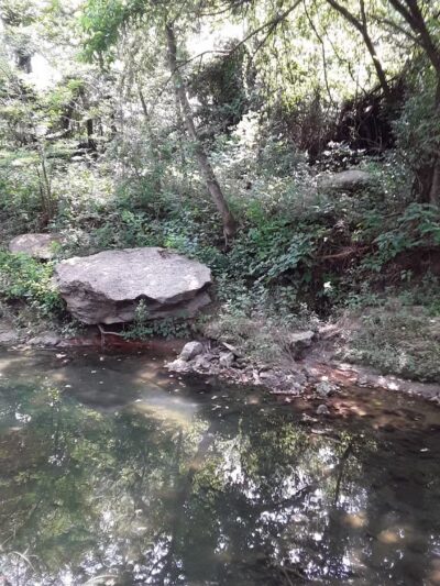 Marrow Bone Spring Park - Arlington, TX