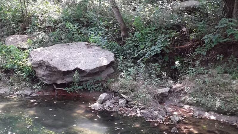 Marrow Bone Spring Park - Arlington, TX