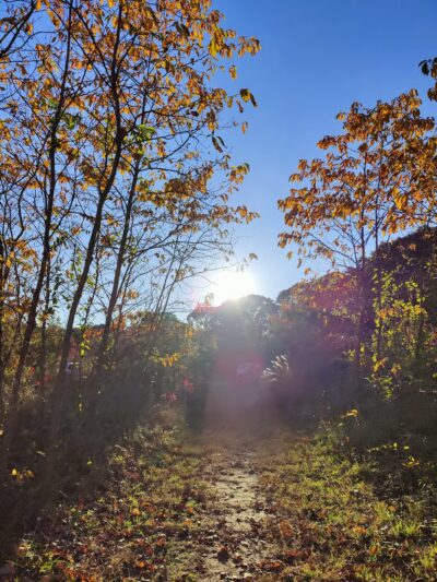 Spriggs Farm Park - Arnold, MD