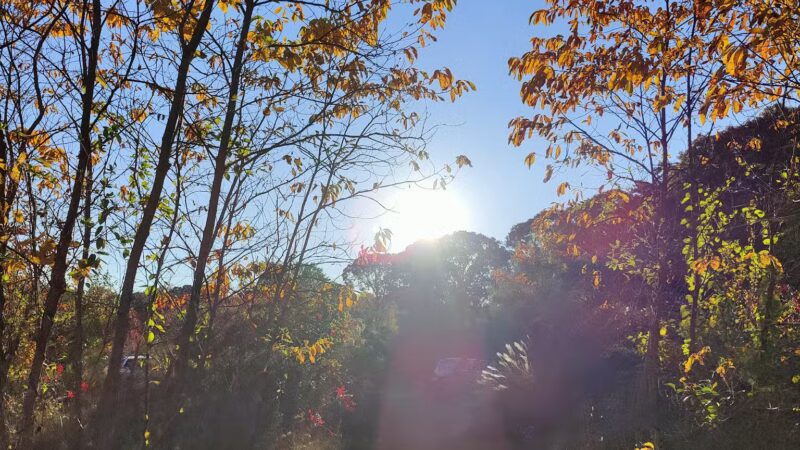 Spriggs Farm Park - Arnold, MD