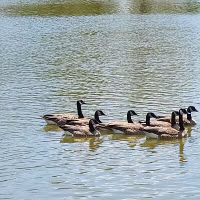 Arnold City Park - Arnold, MO