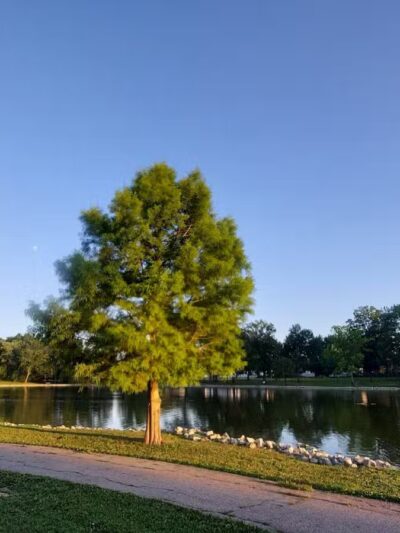 Arnold City Park - Arnold, MO