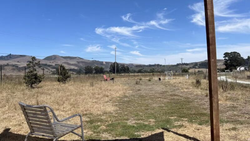 Aromas Dog Park - Aromas, CA