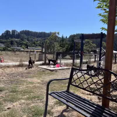 Aromas Dog Park - Aromas, CA
