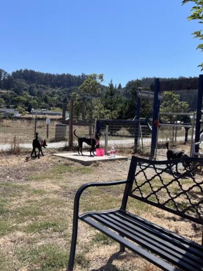 Aromas Dog Park - Aromas, CA