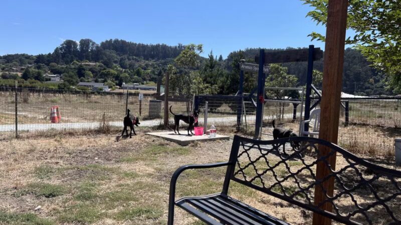 Aromas Dog Park - Aromas, CA