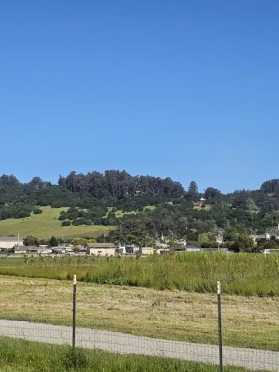 Aromas Dog Park - Aromas, CA