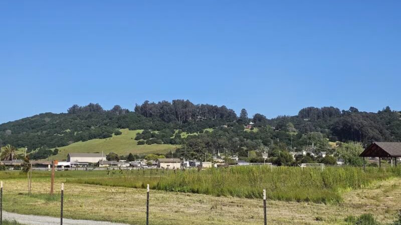 Aromas Dog Park - Aromas, CA