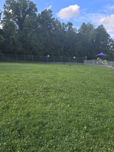 Central Bark - Ashland, KY