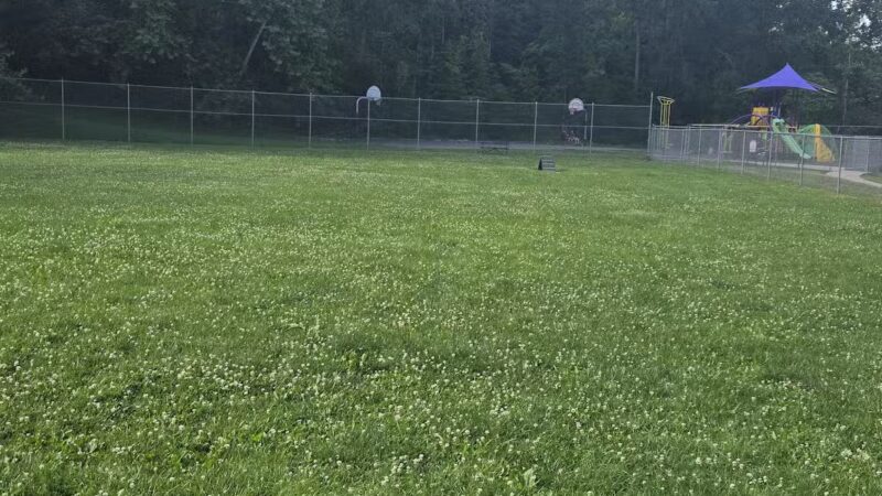 Central Bark - Ashland, KY