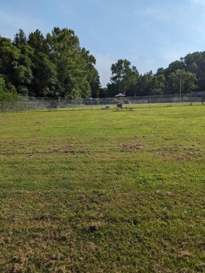 Central Bark - Ashland, KY