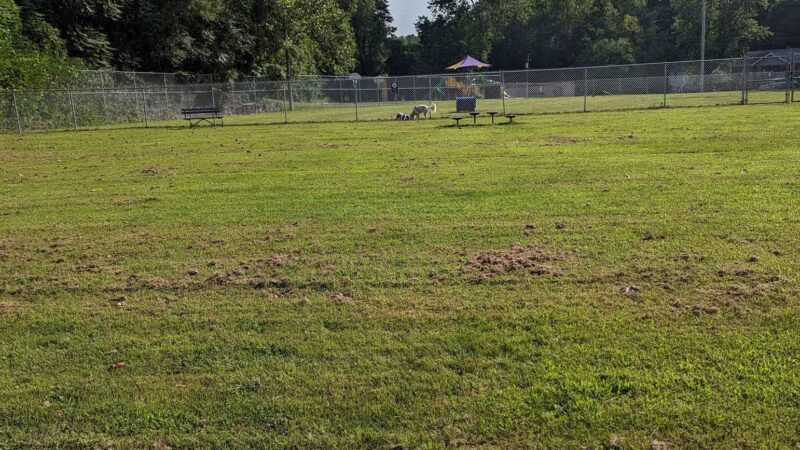 Central Bark - Ashland, KY