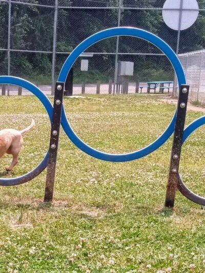 Central Bark - Ashland, KY