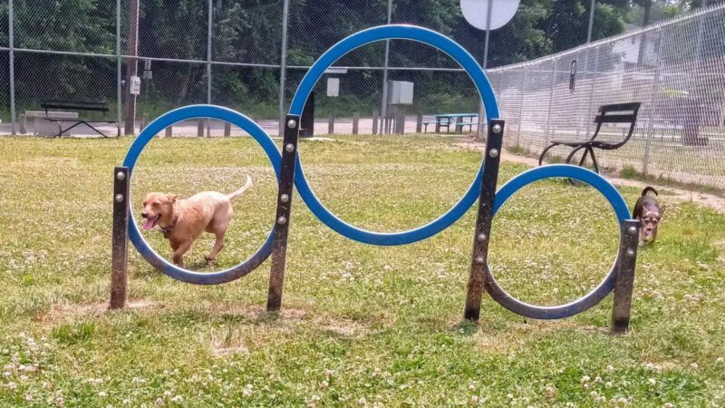 Central Bark - Ashland, KY