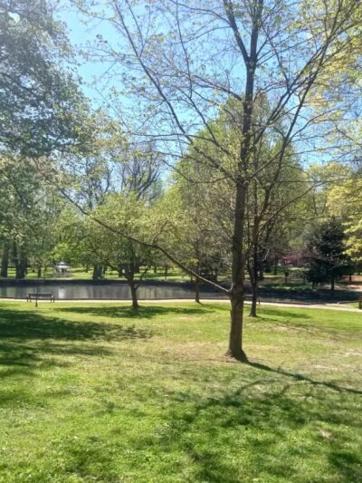 Central Park - Ashland, KY