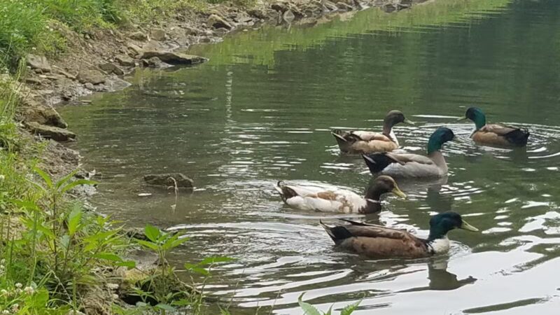 Brookside West Park - Ashland, OH