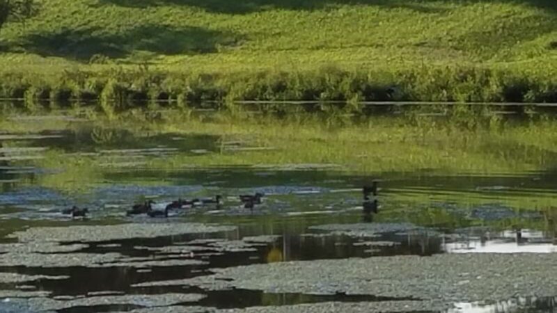 Brookside West Park - Ashland, OH