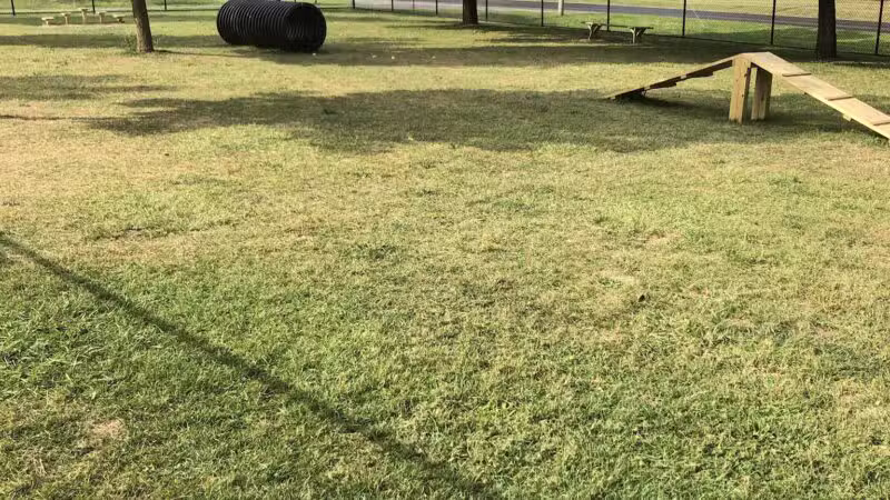 Dog Park - Ashland, OH - Ashland, OH