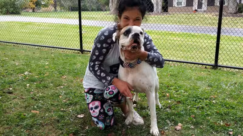 Dog Park - Ashland, OH - Ashland, OH