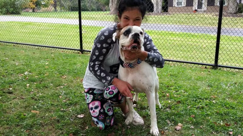 Dog Park - Ashland, OH - Ashland, OH