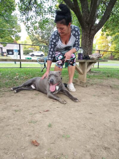 Dog Park - Ashland, OH - Ashland, OH