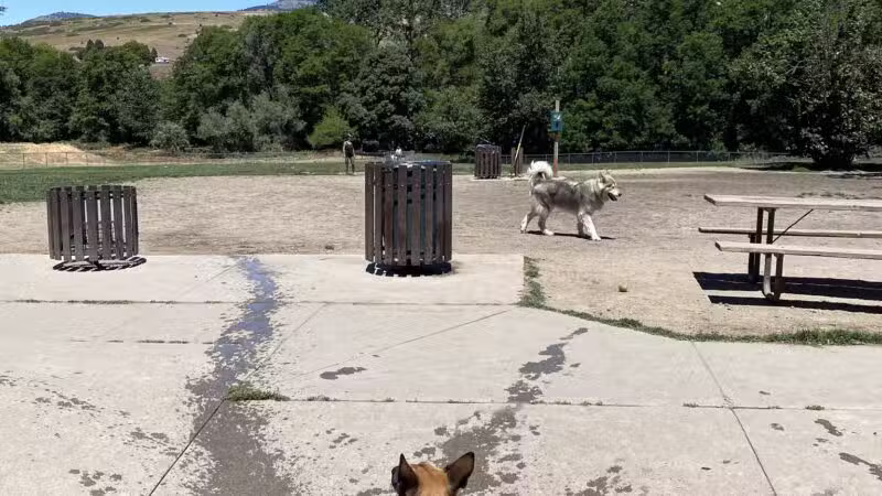 Ashland Dog Park - Ashland, OR