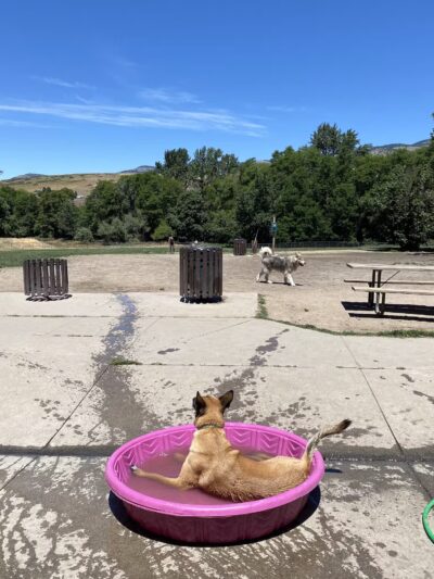 Ashland Dog Park - Ashland, OR