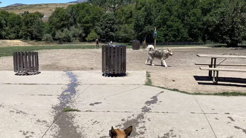 Ashland Dog Park - Ashland, OR