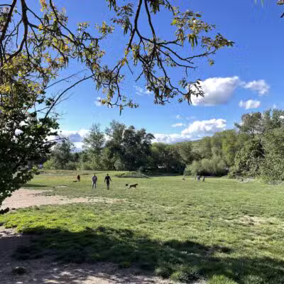 Ashland Dog Park - Ashland, OR