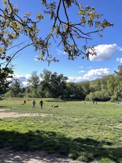 Ashland Dog Park - Ashland, OR