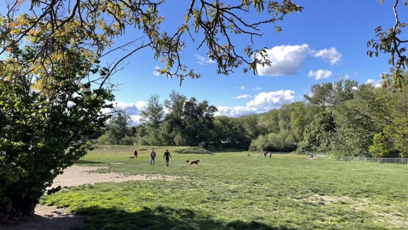 Ashland Dog Park - Ashland, OR